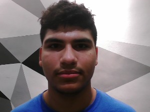 Face Image
